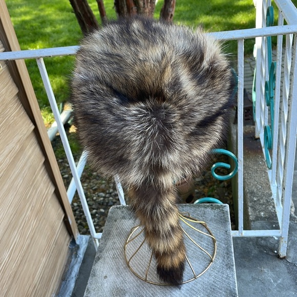 #Raccoon Hat - Picture 4 of 9